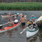 Paddling on the River